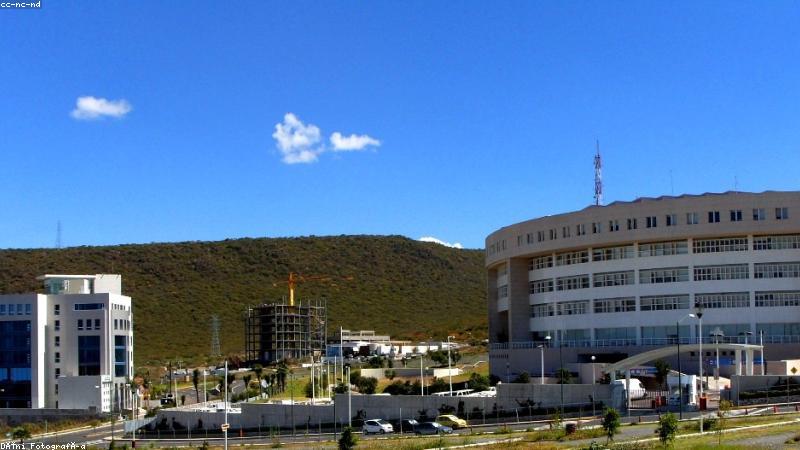 推特x 跨端社交界面与安装包下载场景